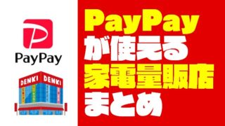 『PayPay（ペイペイ）』が使える家電量販店・電気屋をまとめてみた【支払い方法も紹介】